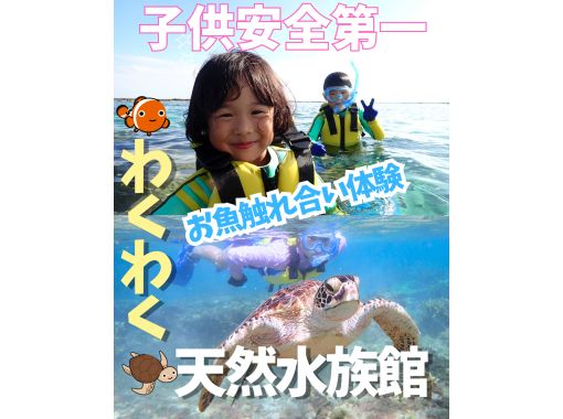 【☆送迎可・子供初心者向け・3～70歳☆】100種類以上お魚＆ウミガメがいる天然水族館ツアーｌ当日・直前予約OKｌドローン無料撮影の画像