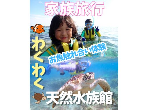 【送迎可・子供初心者向け・3～70歳】☆100種類以上お魚【エサやり体験】＆ウミガメがいる天然水族館ツアー☆ｌ思い出ドローン無料撮影ｌの画像