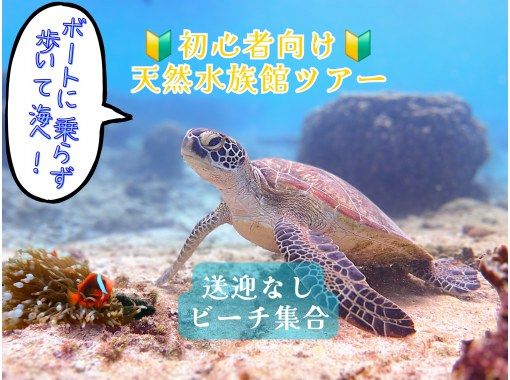 【☆ビーチ集合・初心者向け・3～70歳可☆】ウミガメ・クマノミがいる天然水族館ツアー（ジョン万ビーチ）プロガイドが案内するシュノーケリング☆の画像