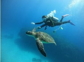 ビーナチュラル ダイビング＆ヨガ (BeNatural Diving＆Yoga)