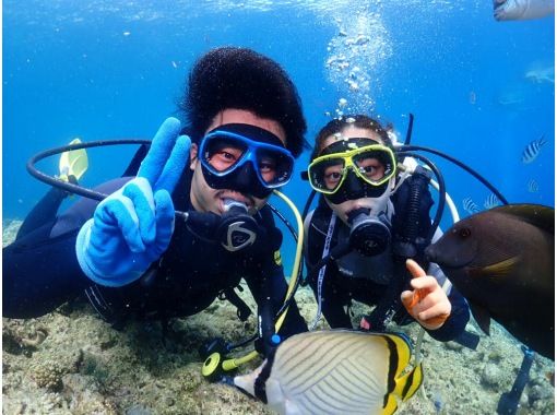 ขาย! ``สัมผัสประสบการณ์ดำน้ำชายหาดที่คุณสามารถเลือกจุดหมายปลายทางได้ตั้งแต่ 1 ไดฟ์ |. ไม่รู้จะไปที่ไหน! แผนดีๆ ที่สมบูรณ์แบบสำหรับคุณ ✨ รูปภาพและวิดีโอฟรีの画像