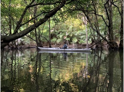 [沖繩/西表島] 仲間川獨木舟半日遊 | 紅樹林 | 獨木舟體驗！ （上午場）の画像