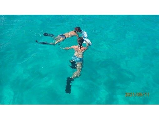 【鹿兒島/奄美北部】3小時浮潛拖管の画像