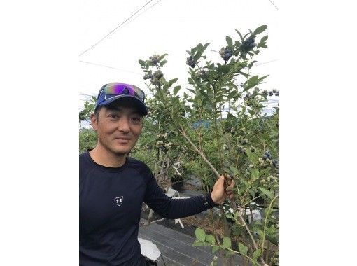 [和歌山/有田]藍莓採摘體驗|吃到飽|從阪和高速公路廣川IC開車1分鐘！帶紀念品！の画像