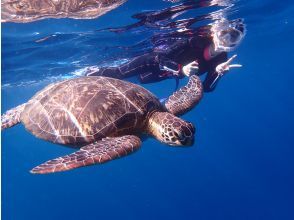 【沖縄県・石垣島】マンタ・ウミガメ・サンゴ礁シュノーケリング　1日コース