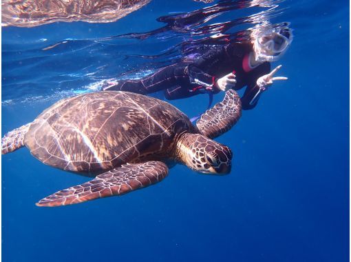 【沖縄県・石垣島】マンタ・ウミガメ・サンゴ礁シュノーケリング　1日コースの画像