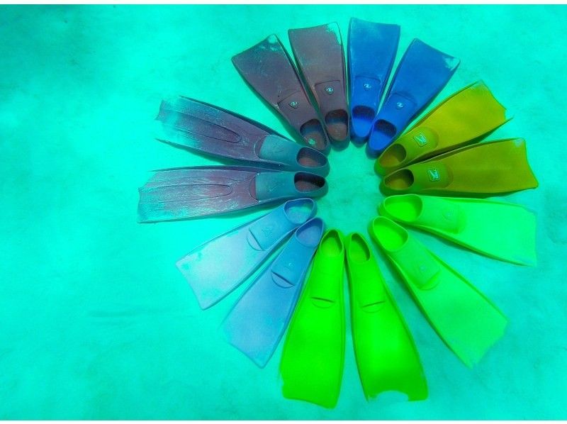 TAKU DIVE 石垣島の割引プラン