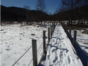 【長野県・南アルプス】初めての方からＯＫ！　入笠湿原～大河原湿原スノーシュートレッキングツアーの画像
