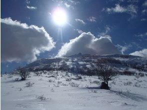 Yatsugatake Nature Cruise