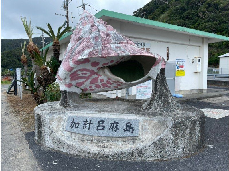 【奄美大島】離島でのんびり★贅沢加計呂麻1日ツアー★【送迎、お弁当、ナイトツアー、シュノーケル付】口コミ投稿で撮影データプレゼント！の紹介画像