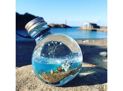 京都 京丹後 海からの贈り物ハーバリウム作り体験 貝殻拾いあり充実プラン アクティビティジャパン