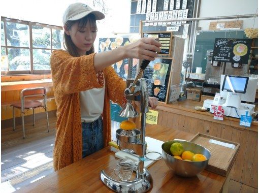 [和歌山/田邊] Gokuri 新鮮橙子！在[常年盛產橘子的村莊秋津野]，即使是孩子們也可以安心地製作橘子汁！の画像