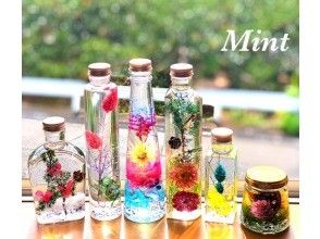 Mint