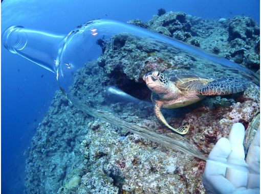 【初心者専門！ビギナー・ブランク大歓迎】日本最大のサンゴ礁「石西礁湖」でファンダイビング！の画像