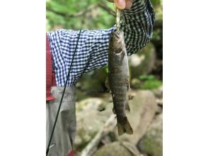 [Niigata/ Tokamachi] Native fishing! Char and trout fishing for native species in mountain streams Private tour (Foreign tourists)Niigata Welcome Campaign!! \5,000 Yen OFF !!  