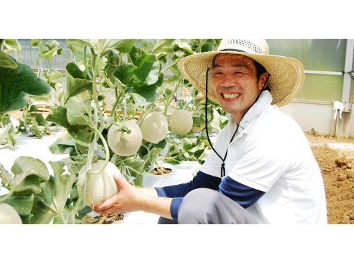 [靜岡/濱松] 瓜狩獵· 自己精心挑选和收穫的瓜是紀念品！在農場的樹蔭下享用真正的食物！の画像