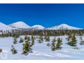 【青森・八甲田】春の八甲田　雪の回廊タクシー観光ツアーの画像