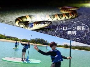 奄美大島【当日予約可能】SUP＋ナイトツアー（120分）【お得なセットプラン】☆ドローン空撮等写真の無料プレゼントあり☆