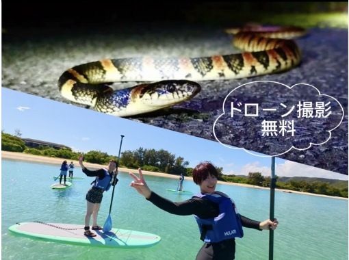 奄美大島【当日予約可能】SUP＋ナイトツアー（120分）【お得なセットプラン】☆ドローン空撮等写真の無料プレゼントあり☆の画像