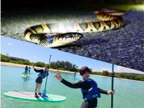 奄美大島【当日予約可能】SUP＆ナイトツアー（120分）【お得なセットプラン】☆ドローン空撮等写真の無料プレゼントあり☆