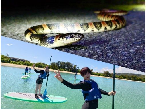 奄美大島【当日予約可能】SUP＆ナイトツアー（120分）【お得なセットプラン】☆ドローン空撮等写真の無料プレゼントあり☆の画像