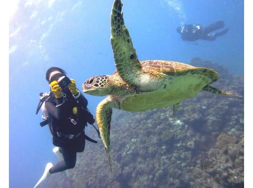 【沖縄・那覇・慶良間（ケラマ）/1日】世界有数の海でダイビング（2回ダイビング）☆GoPro動画プレゼン＆レンタル器材込＆那覇市内送迎付の画像