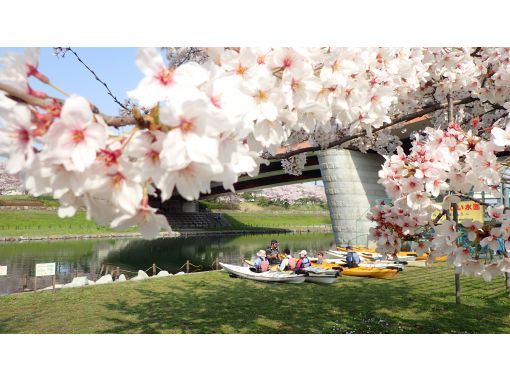 【東京・江戸川】カヤックでお花見を楽しもう！「東京水路カヤックツアー（桜シーズン）」の画像