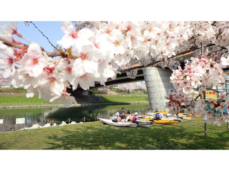 東京・江戸川】カヤックでお花見を楽しもう！「東京水路カヤックツアー