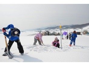 [Hokkaido / Furano] Winter vegetable expedition!・ Experience digging up cabbage sleeping under the snow with winter vegetables & snow picnic lunch ♪ (boots, rubber gloves rental available)の画像