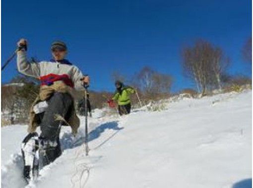 [群馬/澀川市]在冰上漫步！雪鞋體驗“赤山課程”（一日遊）初學者推薦の画像