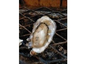 [Kumamoto / Kikuchi] You can enjoy oyster grilling. You are free to bring in food and drinks!