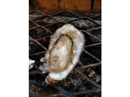 [Kumamoto / Kikuchi] You can enjoy oyster grilling. You are free to bring in food and drinks!の画像
