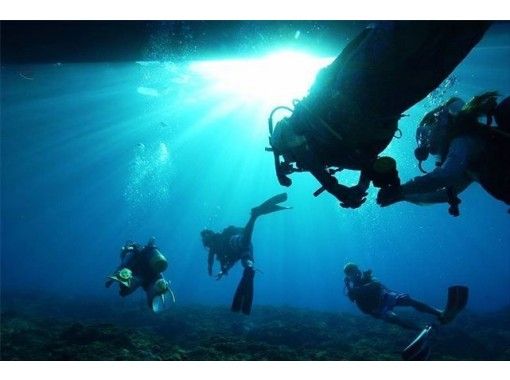 【沖縄・久米島】奇跡の海 ファンダイビング(1ダイブ)の画像
