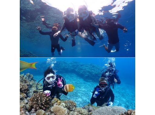 [สำนักงานใหญ่โอกินาว่า Minnajima หรือ Sesokojima หรือ Gorilla Chop] ประสบการณ์ทางเรือสำหรับผู้เริ่มต้นดำน้ำ & ดำน้ำตื้นข้อมูลภาพถ่าย GoPro ของขวัญการถ่ายภาพฟรี ⭐︎の画像