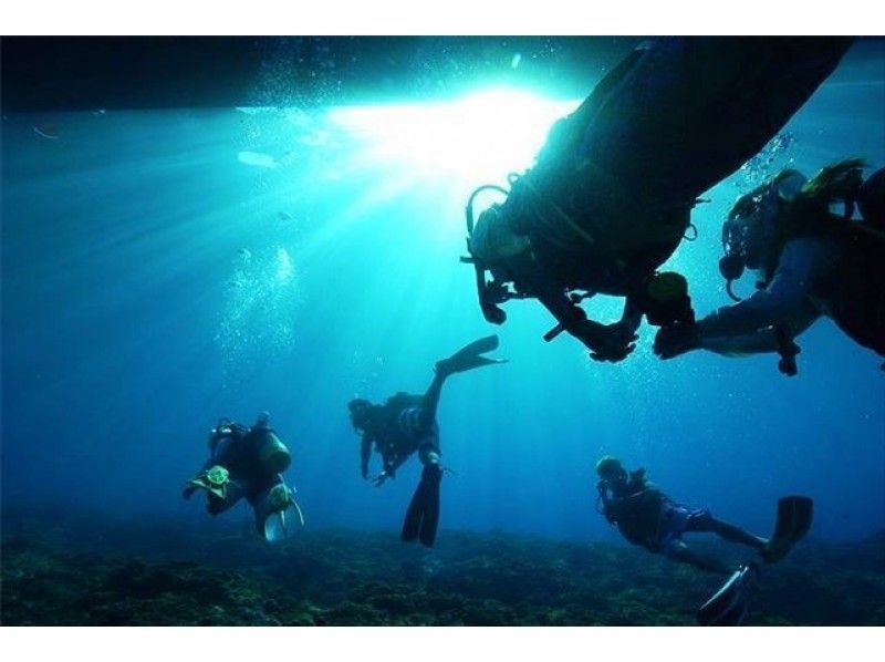 [ 오키나와 · 쿠메지마 ] 기적의 바다 팬 다이빙 (3 다이브)の紹介画像