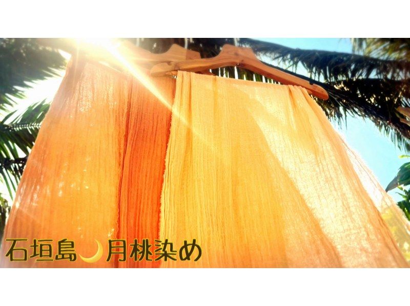 【沖縄・石垣島】島の植物「月桃」で草木染を体験しよう！の紹介画像
