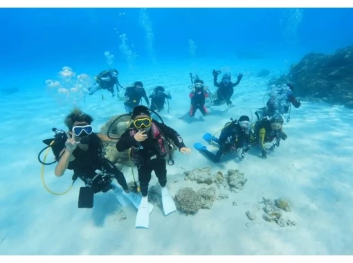 【神奈川・湘南】初心者大歓迎の体験ダイビング！写真動画データ無料プレゼント★器材等レンタル代全て込み★初心者歓迎・1人参加歓迎！の画像