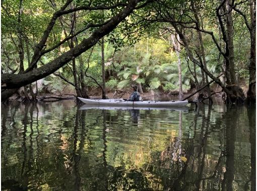 [沖繩/西表島]半日仲間川獨木舟之旅|紅樹林|獨木舟體驗！ （下午場）の画像