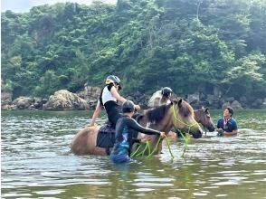 【宮城・奥松島】 オーシャンライディング 海辺での乗馬体験＊初めての方におすすめ＊