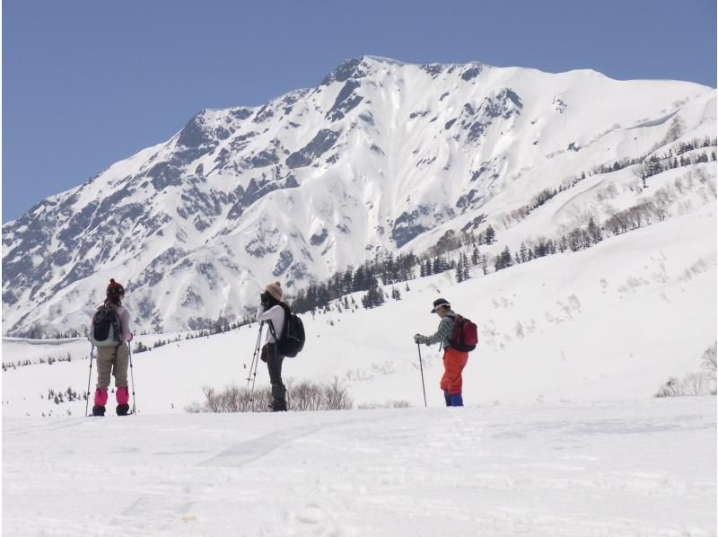 白馬山麓で楽しむスノーシューハイキングの紹介画像