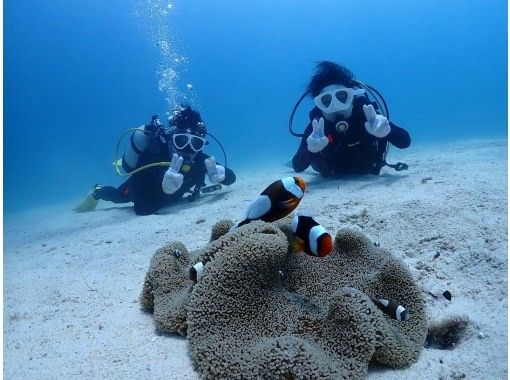 [Okinawa / remote island] Minnajima fan diving 2 dive set! Equipment full rental free!の画像
