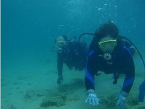 【鹿児島】初心者にオススメ!奄美大島体験ダイビング!の画像
