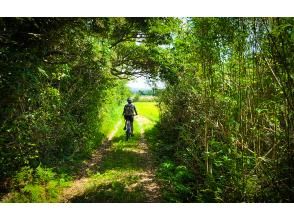 【長崎県・五島列島】日英対応～島めぐりサイクリングツアー～三井楽コースの画像