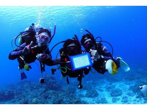 【沖繩本島】沖繩潛水入門考證、最快3天完成！｜PADI開放水域潛水員課程 （中文教練 - 廣東話 / 普通話）の画像