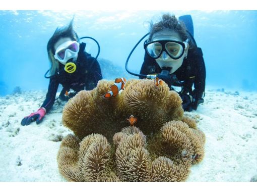 【沖縄・宮古島】【1組貸切】Insta360AcePro2写真＆動画プレゼント!絶景ビーチで体験ダイビング！２時間コース（１ダイブ）の画像