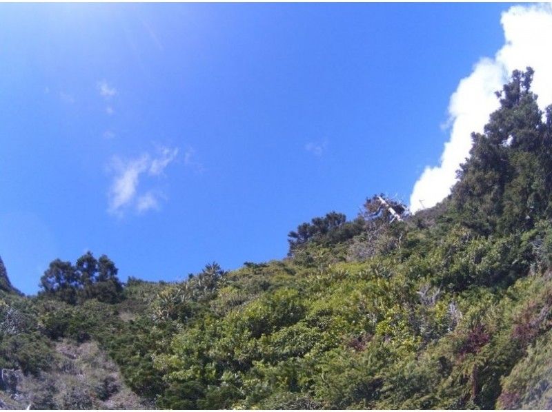 【鹿児島・屋久島】360度の大展望!トレッキング「黒味岳コース」1日かけてゆっくり登山したい方お勧め