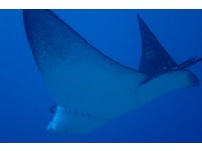 ダイビングサービス　ティーダ(Diving Service TEEDA)