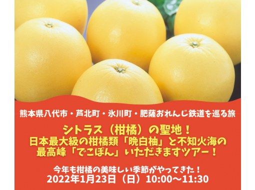 ≪満員御礼≫シトラス（柑橘）の聖地！  日本最大級の柑橘類「晩白柚」と  不知火海の最高峰「でこぽん」  いただきますツアー！の画像