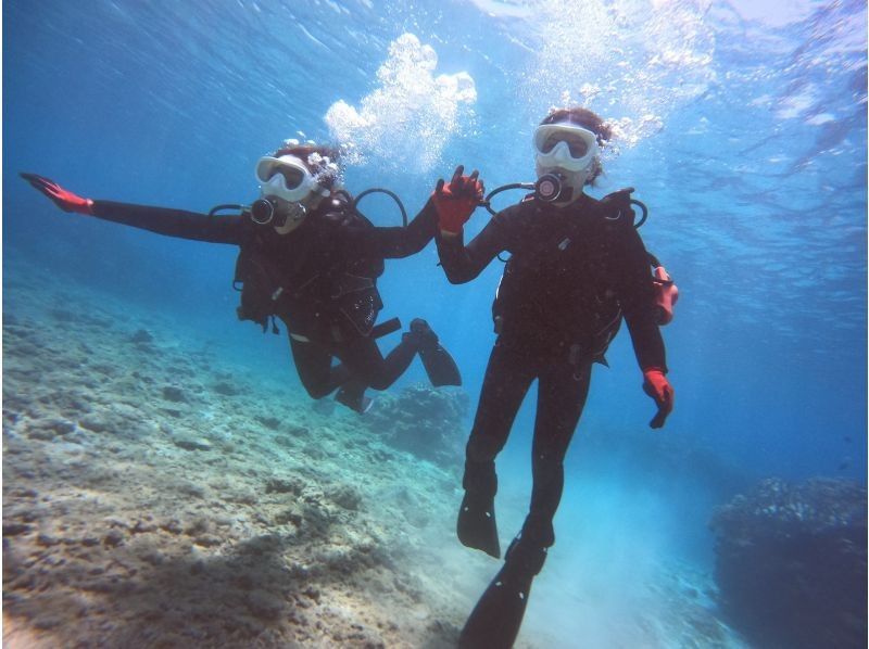 [Okinawa, Motobu Town] Swim even in the winter! Experience diving at Gorilla Chop Beach ♪ Free winter wetsuit rentals available, even for first-time scuba divers!の紹介画像