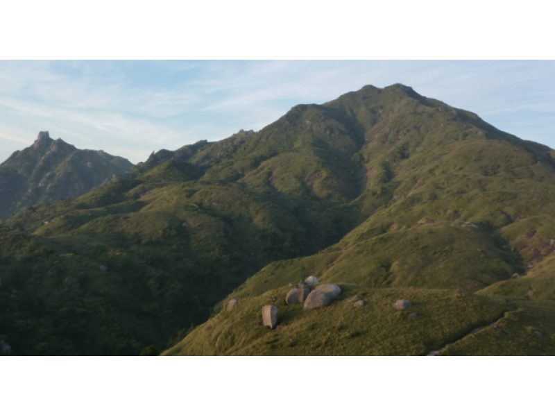 【鹿児島・屋久島】屋久島の全てを体感!トレッキング「宮之浦岳コース」
